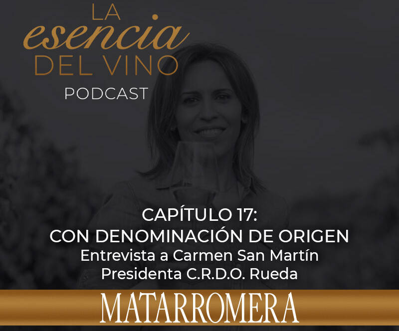 Capítulo 17 Carmen San Martín